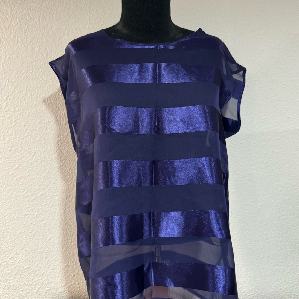Sheer Striped Purple Top